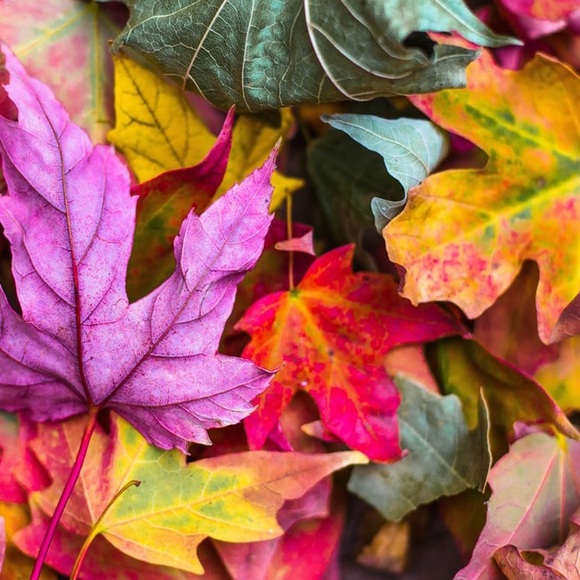 Meet your Posher - Picture 8 of 10